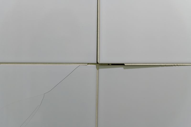 Cracked Tile Repair